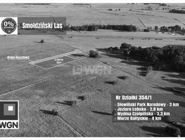 Zdjęcie 15792060