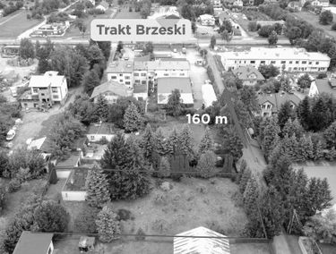 Zdjęcie 15793243