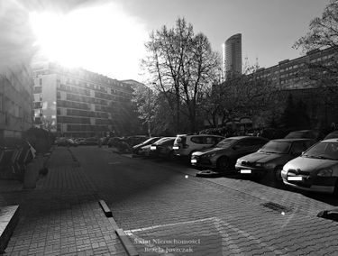 Zdjęcie 15793481