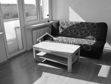 Zdjęcie 15795824