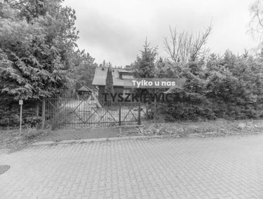 Zdjęcie 15796868