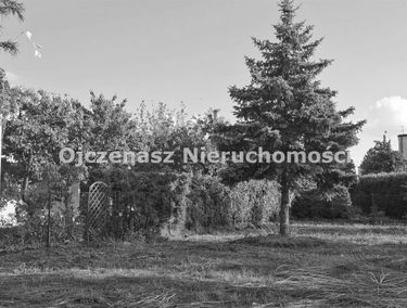 Zdjęcie 15796926