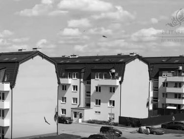 Zdjęcie 15797260