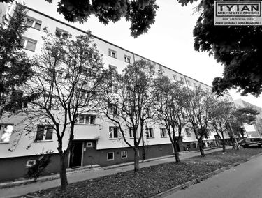Zdjęcie 15797851