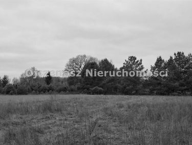 Zdjęcie 15798217