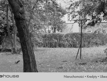 Zdjęcie 15798441