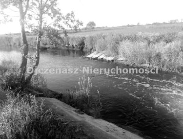 Zdjęcie 15798646