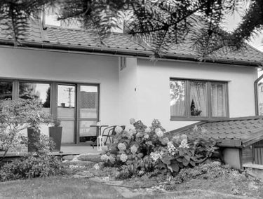 Zdjęcie 15798712