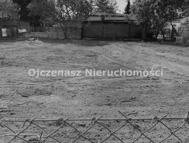 Zdjęcie 15798724