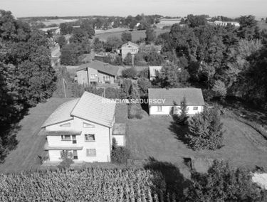 Zdjęcie 15798874