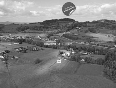 Zdjęcie 15799075
