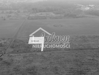 Zdjęcie 15799736