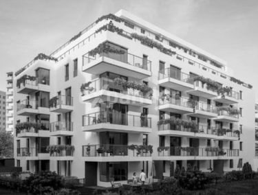 Zdjęcie 15800268