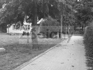 Zdjęcie 15800800