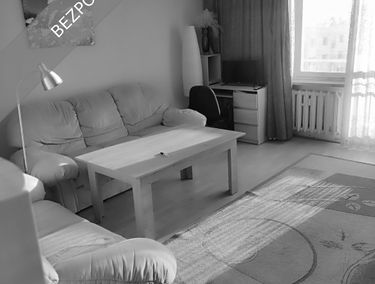 Zdjęcie 15802254