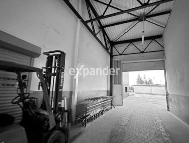 Zdjęcie 15802505