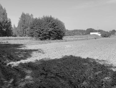 Zdjęcie 15802907