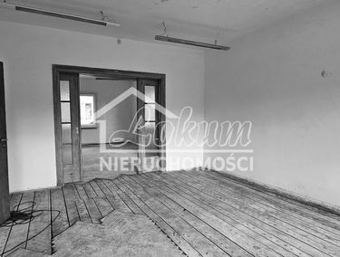 Zdjęcie 15803324