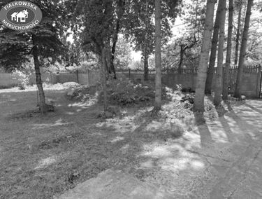 Zdjęcie 15803389
