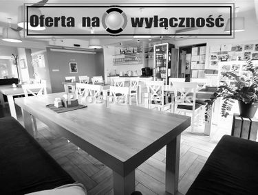 Zdjęcie 15803527