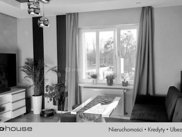 Zdjęcie 15805369