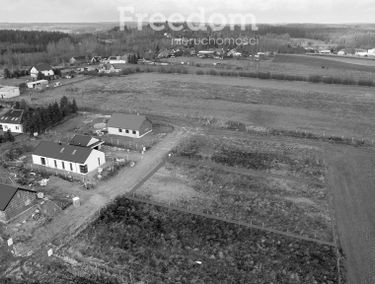 Zdjęcie 15806251