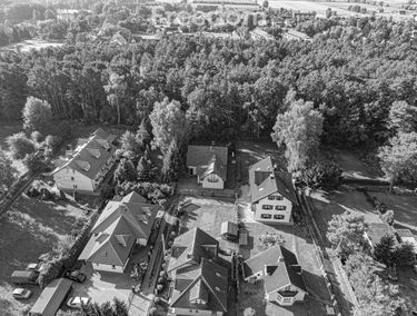 Zdjęcie 15806779
