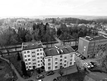 Zdjęcie 15807029