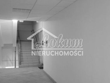 Zdjęcie 15807351