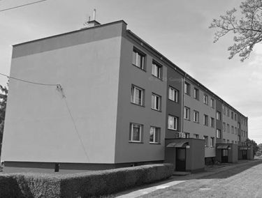 Zdjęcie 15808353