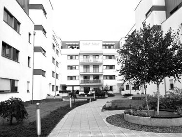 Zdjęcie 15808671
