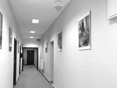 Zdjęcie 15811899