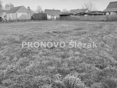 Zdjęcie 15812069