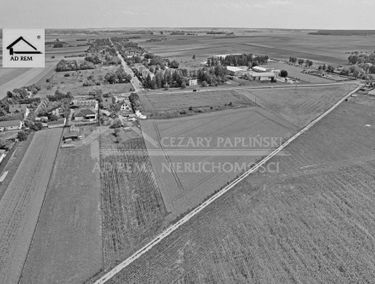 Zdjęcie 15812443
