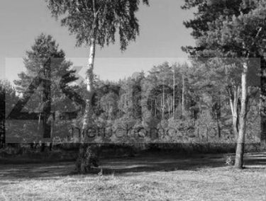 Zdjęcie 15813064