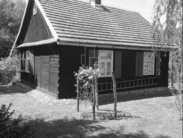 Zdjęcie 15815417