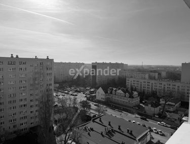 Zdjęcie 15815601