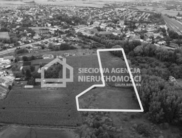 Zdjęcie 15816216