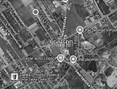 Zdjęcie 15817958