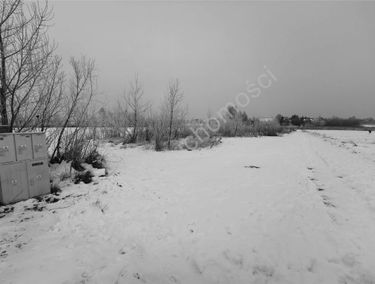 Zdjęcie 15818008
