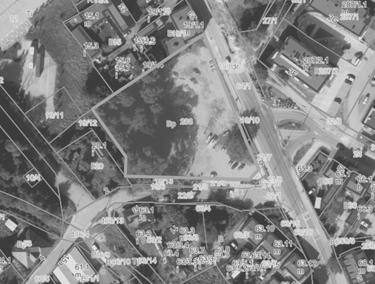 Zdjęcie 15819149