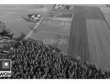 Zdjęcie 15819823