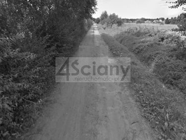 Zdjęcie 15820267