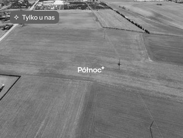 Zdjęcie 15821602