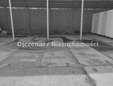 Zdjęcie 15823917