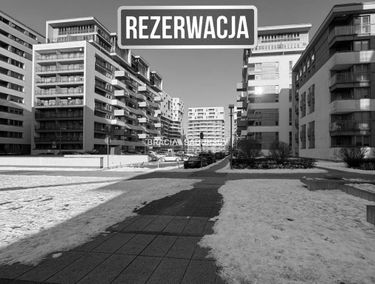 Zdjęcie 15826506