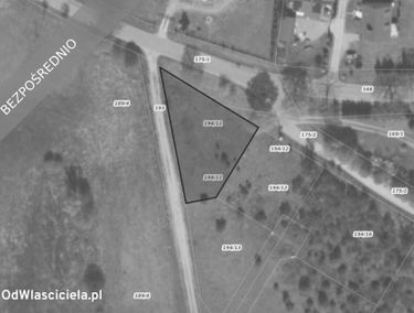 Zdjęcie 15826566