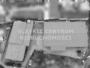 Zdjęcie 15826824