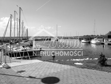 Zdjęcie 15826999