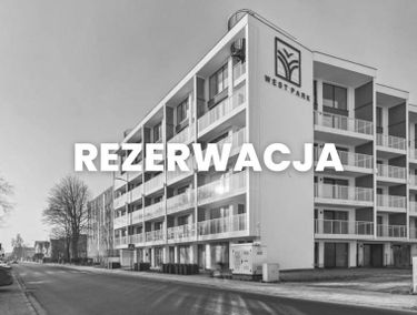 Zdjęcie 15827464